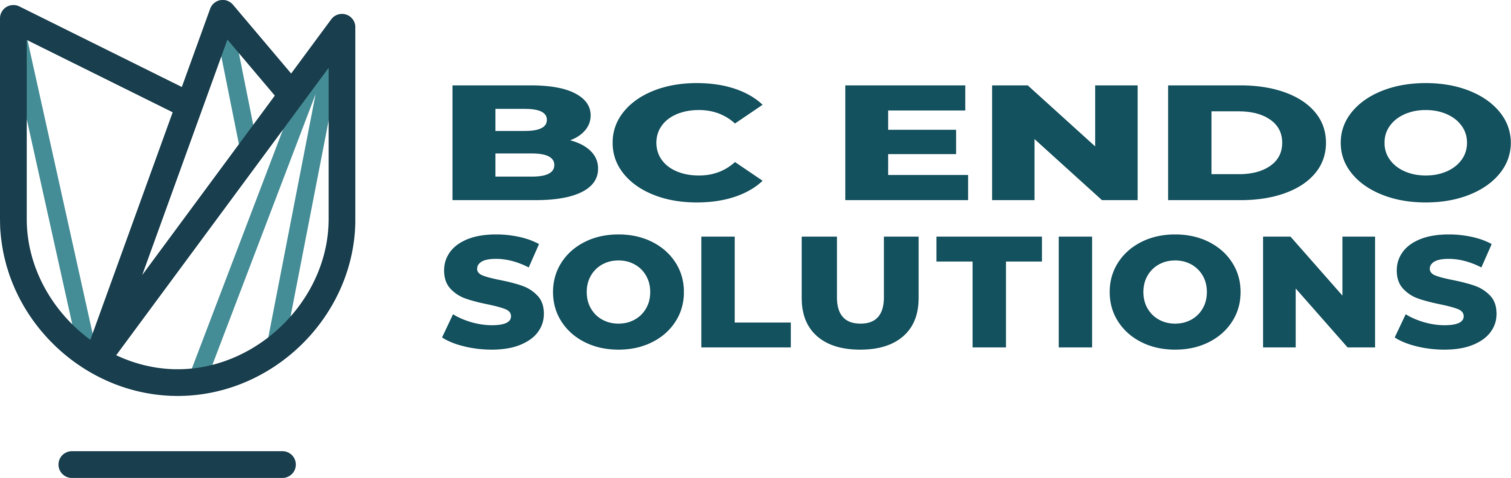 BC Endo Solutions vector
